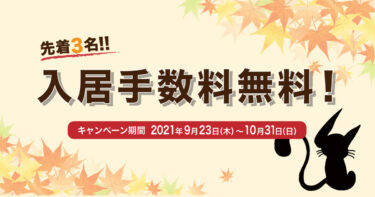 福岡シェアハウスまたたび創業11周年！記念キャンペーン開催！